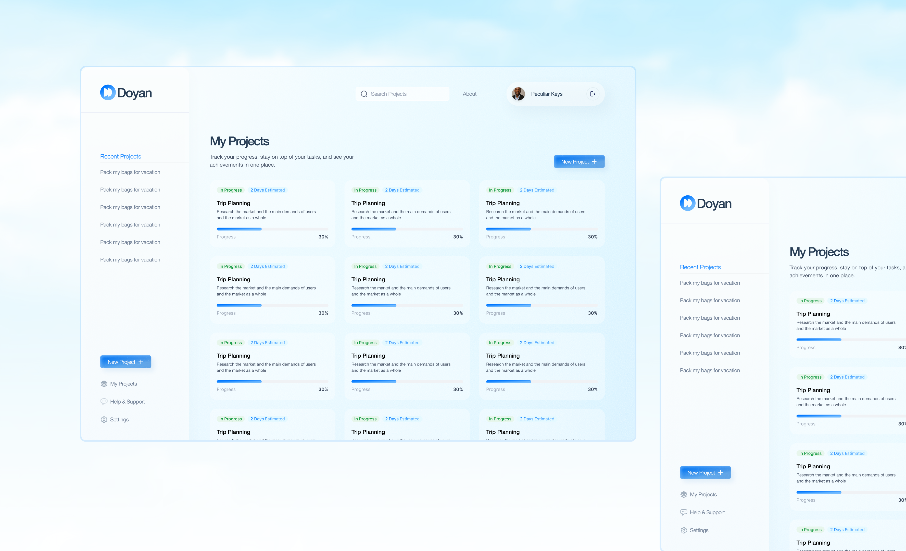 Doyan AI Project View 5